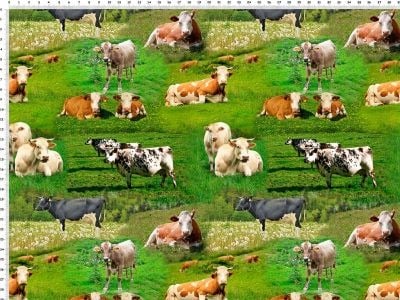 Køer på græs på bomuldsjersey